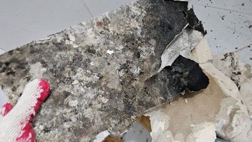 대전 중구 누수탐지 유천동 누수탐지 누수배관설비 단계별 탐색의 기본